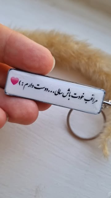 جاسوییچی پلاک ماشین
